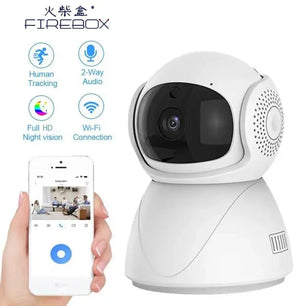 Camera IP CCTV Security Protector