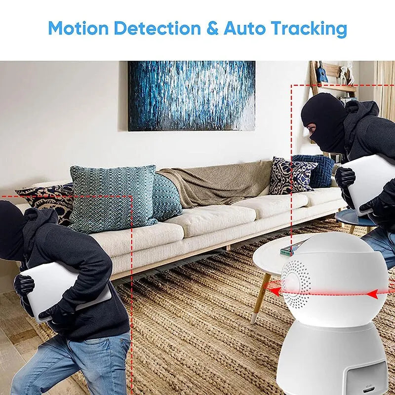 Camera IP CCTV Security Protector